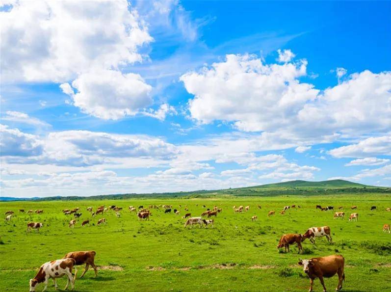 内蒙古，梦想翱翔之地