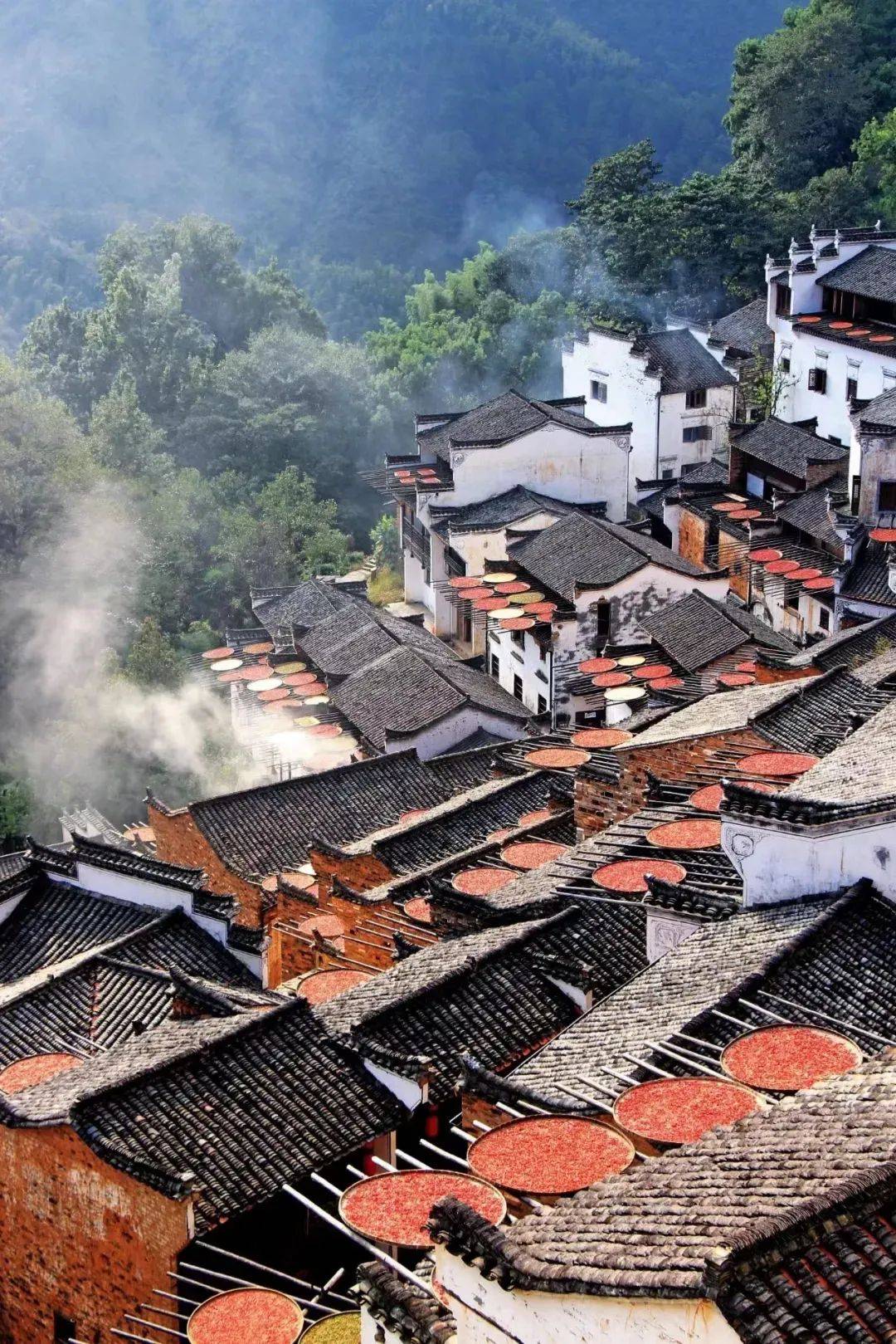 江西团结共进，共话发展新篇章